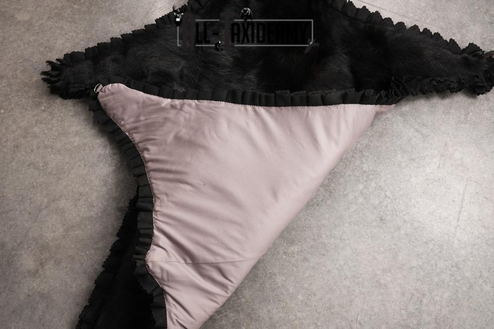 Black Bear Taxidermy Rug SKU 2609 - Image 2