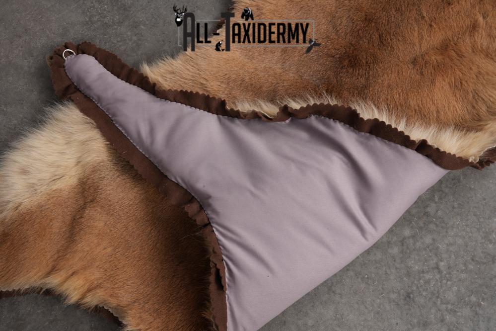 Mountain Lion Taxidermy Rug SKU 2610 - Image 2