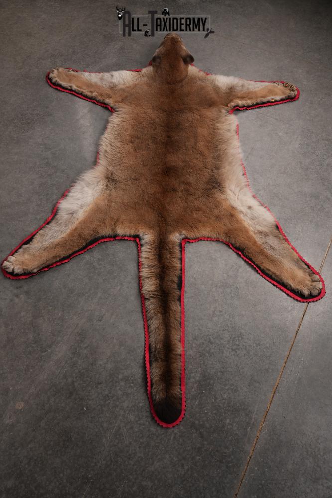 Cougar Rug