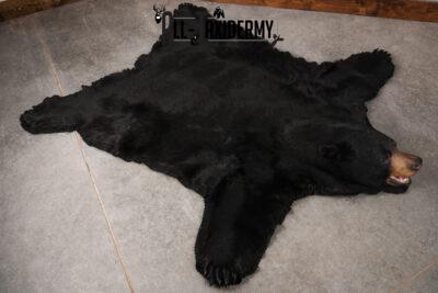 Black Bear Taxidermy Rug SKU 2607