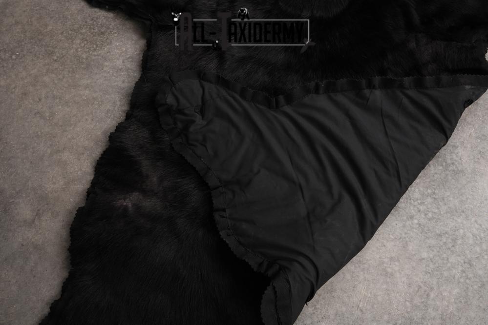 Black Bear Taxidermy Rug SKU 2607 - Image 2