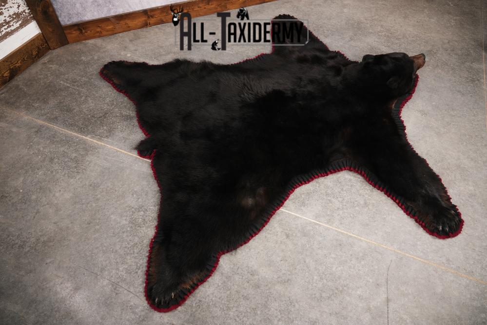 Black Bear Taxidermy Rug SKU 2617 - Image 4