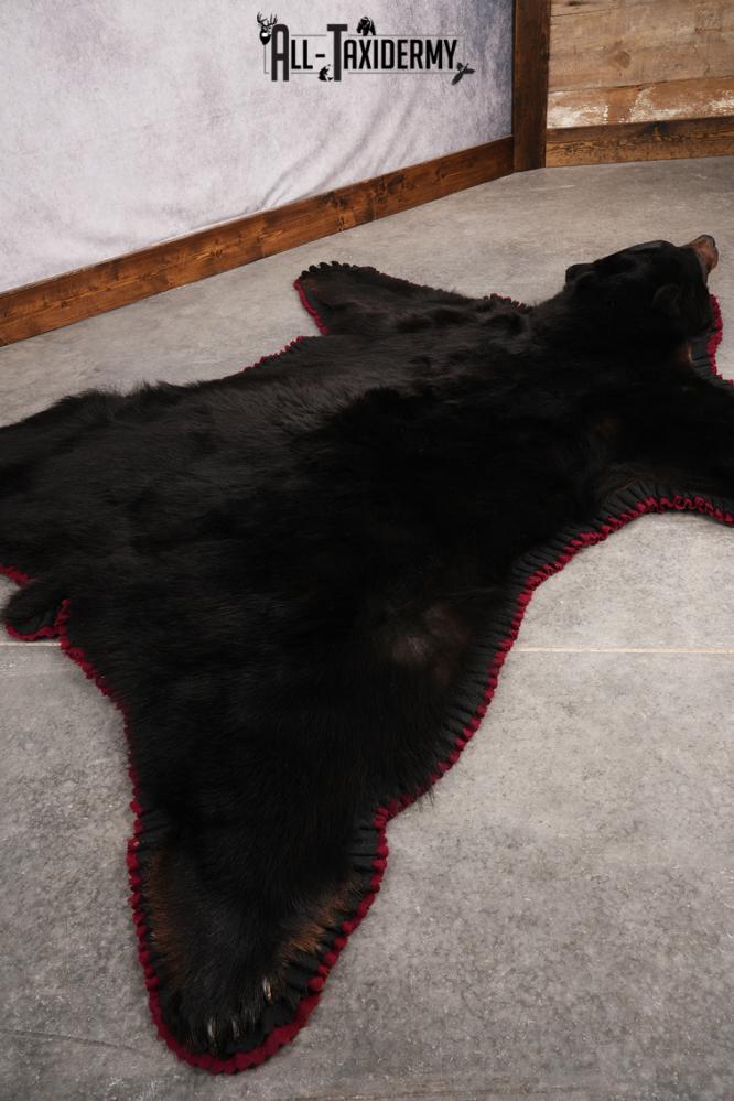 Black Bear Taxidermy Rug SKU 2617 - Image 3