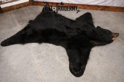 XL Black Bear Taxidermy Rug SKU 2618