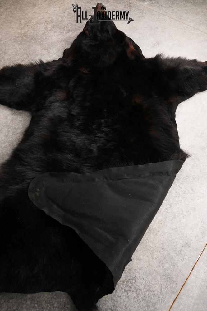XL Black Bear Taxidermy Rug SKU 2618 - Image 2