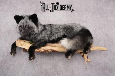Full Body Silver Fox SKU 2628