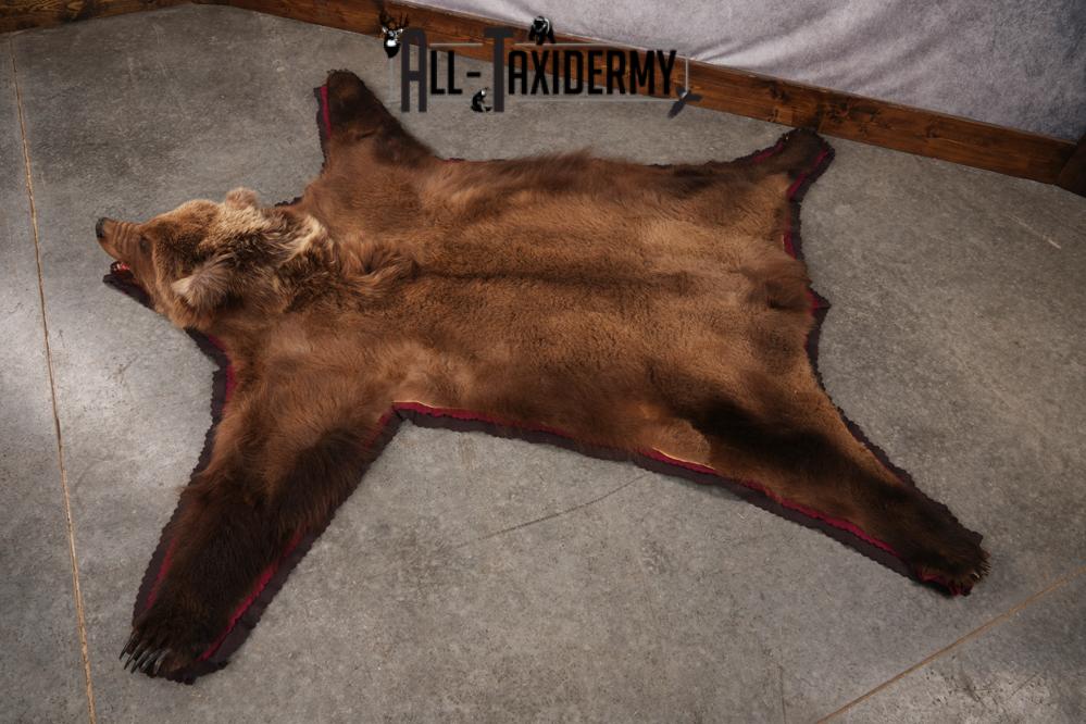 Grizzly Bear Rug SKU 2656 - Image 8