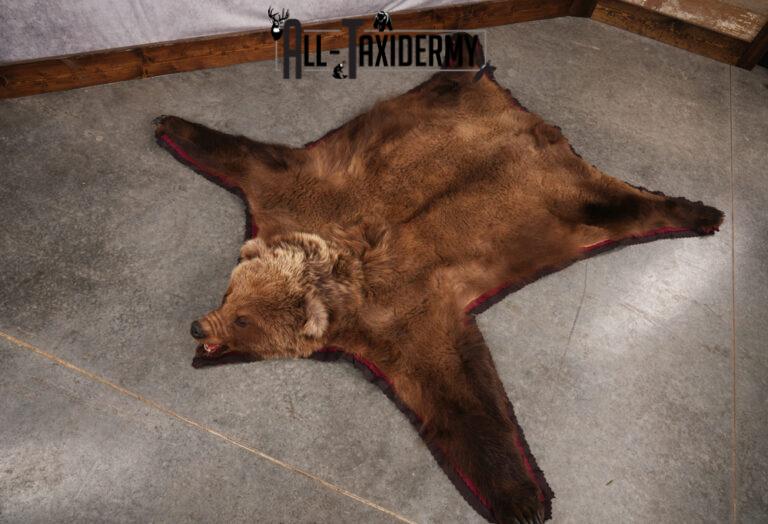 Grizzly Bear Rug SKU 2656 - All Taxidermy