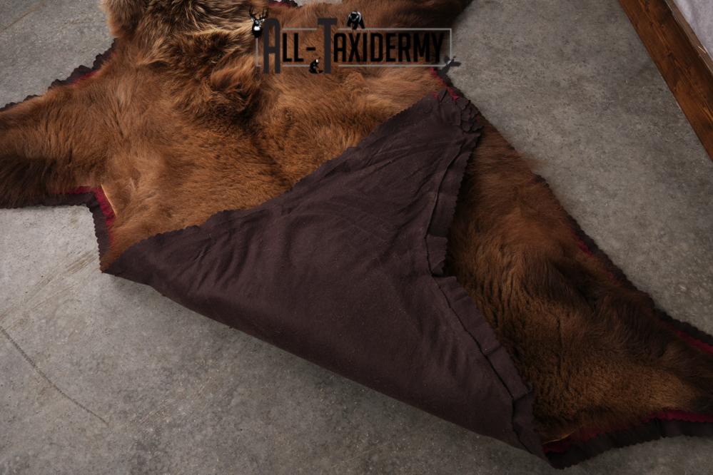 Grizzly Bear Rug SKU 2656 - Image 4