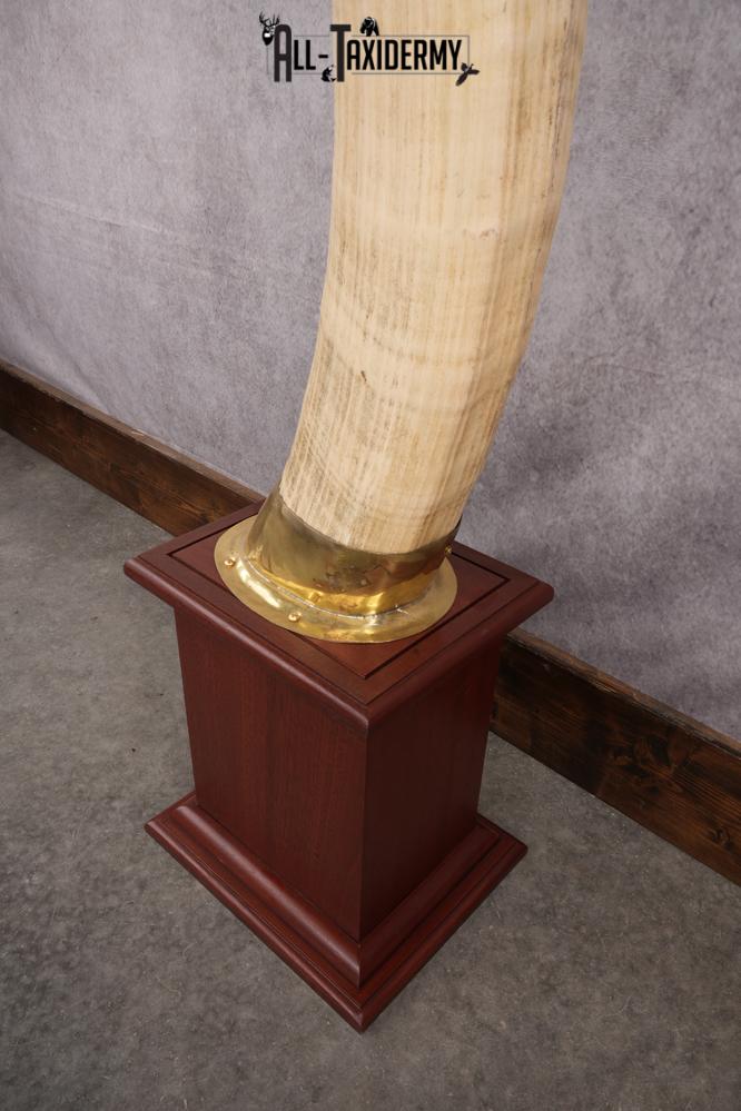 Pair of Reproduction Elephant Tusk SKU 2657 - Image 7