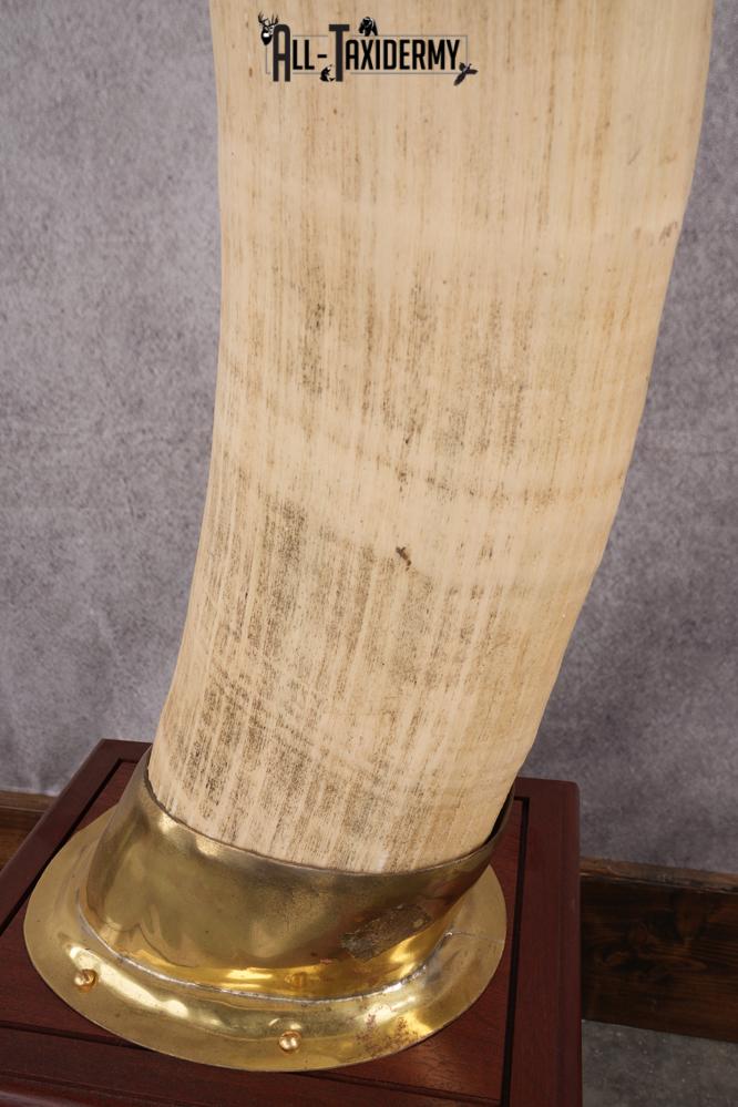 Pair of Reproduction Elephant Tusk SKU 2657 - Image 5