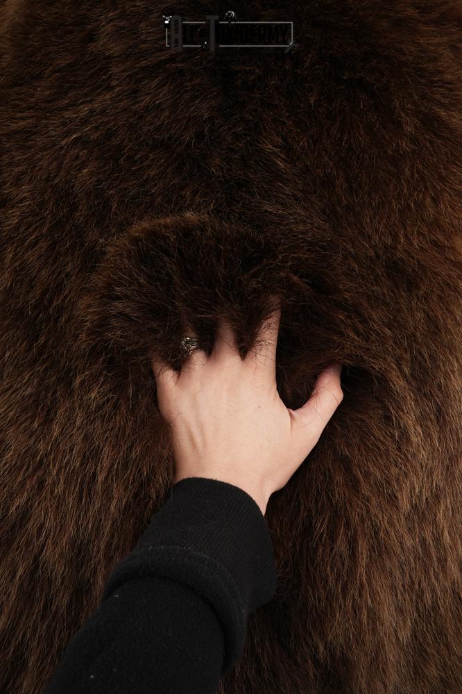 Full Body Grizzly Bear Taxidermy Mount SKU 2647 - Image 16