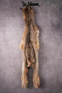 Bobcat Fur Pelt