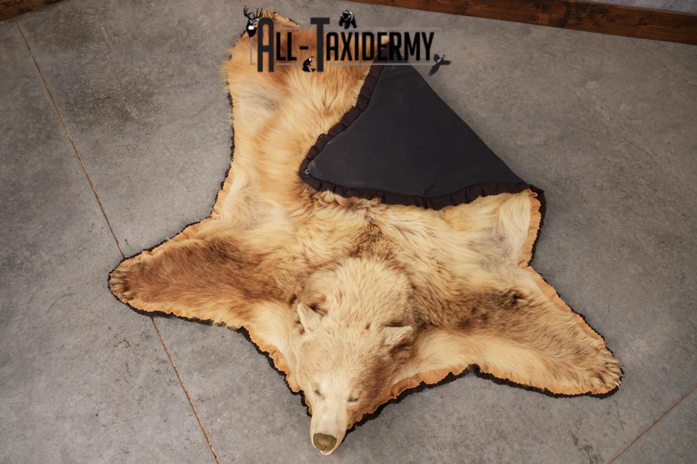 Blonde Black Bear Taxidermy rug for sale SKU 2721 - Image 3