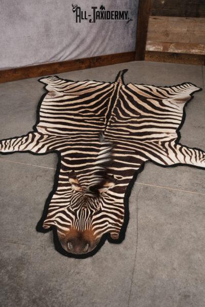 African Zebra taxidermy rug for sale SKU 2735