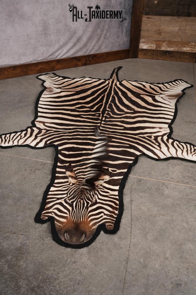 African Zebra taxidermy rug for sale SKU 2735