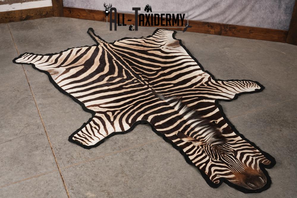 African Zebra taxidermy rug for sale SKU 2735 - Image 6