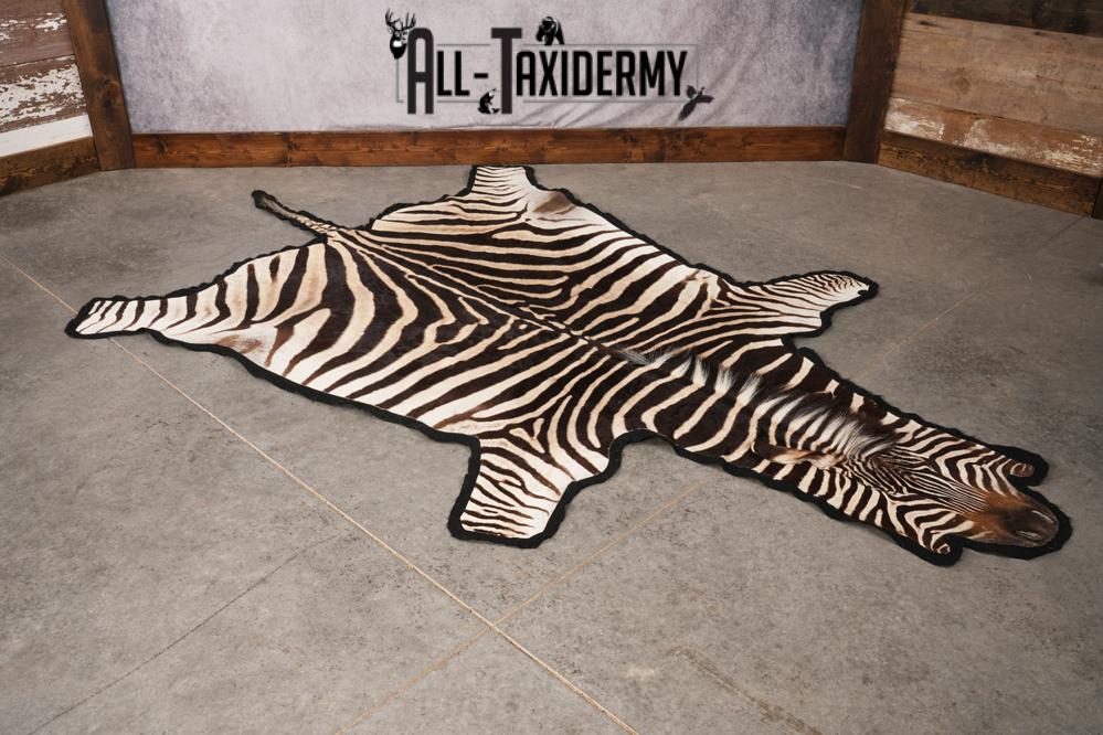African Zebra taxidermy rug for sale SKU 2735 - Image 5