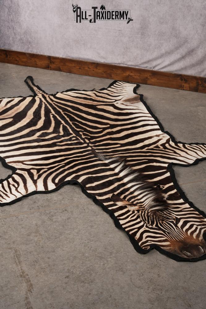 African Zebra taxidermy rug for sale SKU 2735 - Image 2