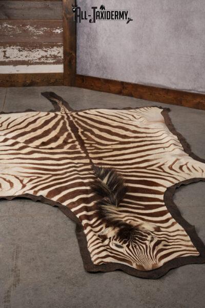African Zebra taxidermy rug for sale SKU 2736