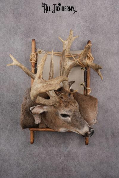 Whitetail deer back pack taxidermy mount for sale SKU 2731