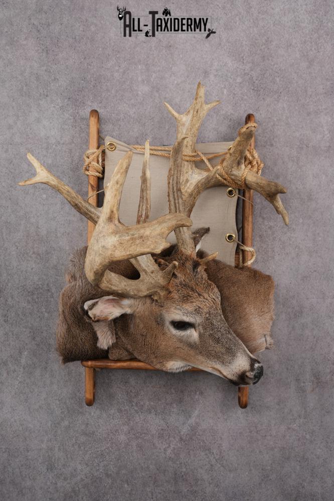 Whitetail deer back pack taxidermy mount for sale SKU 2731