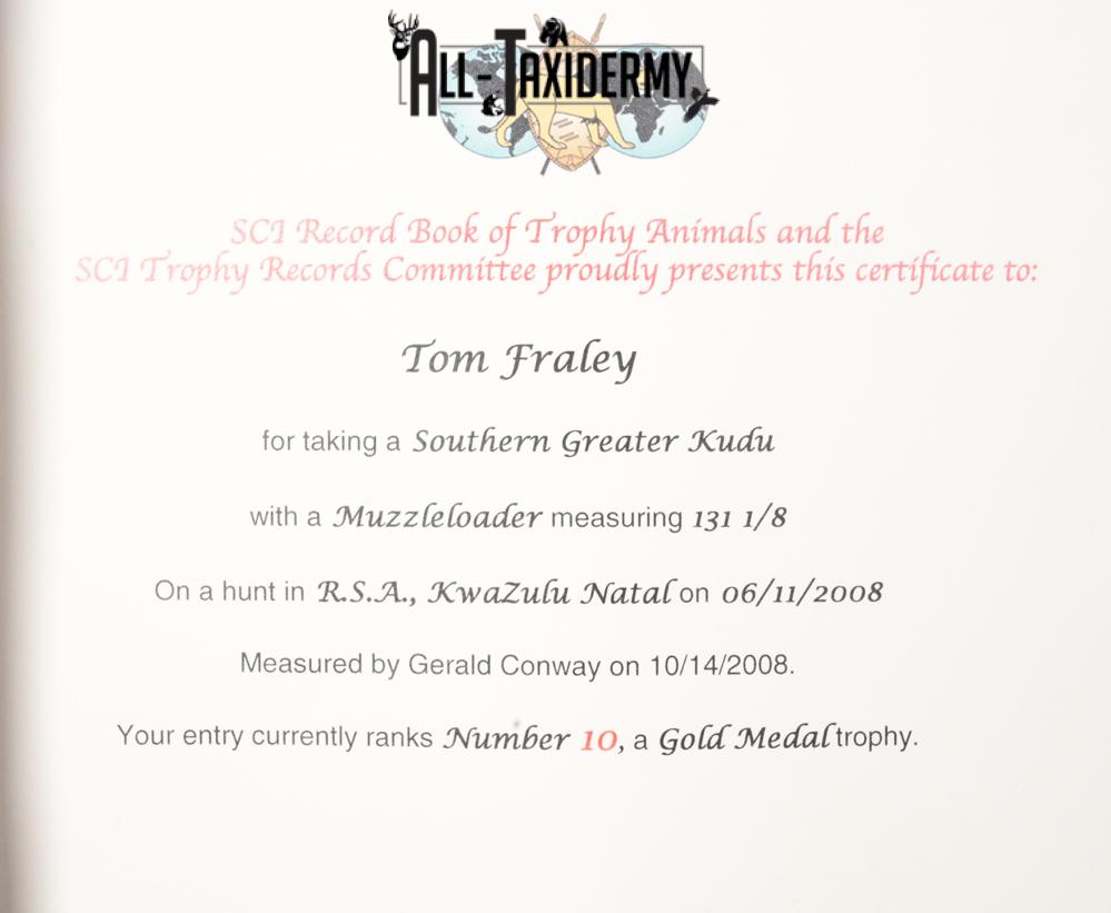 African Kudu taxidermy shoulder mount for sale SKU 2739 - Image 11