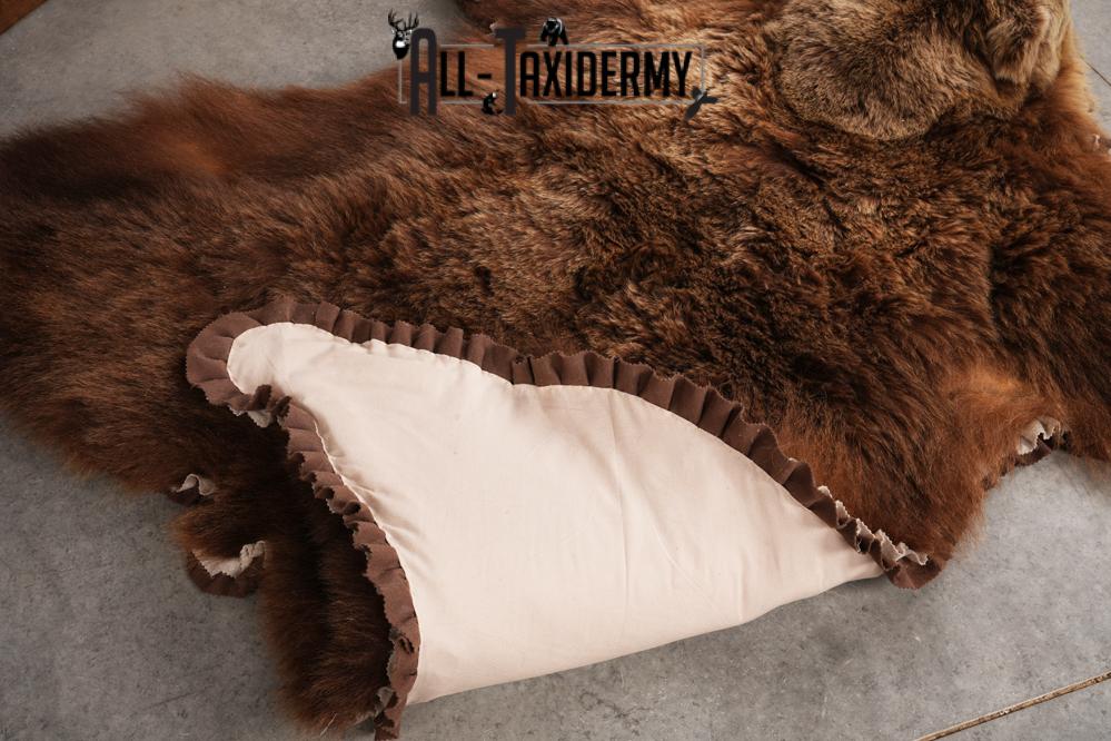 Grizzly Bear Taxidermy Rug SKU 2641 - Image 4