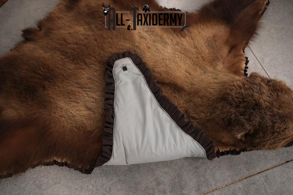 Alaskan Brown Bear Taxidermy Rug SKU 2751 - Image 2