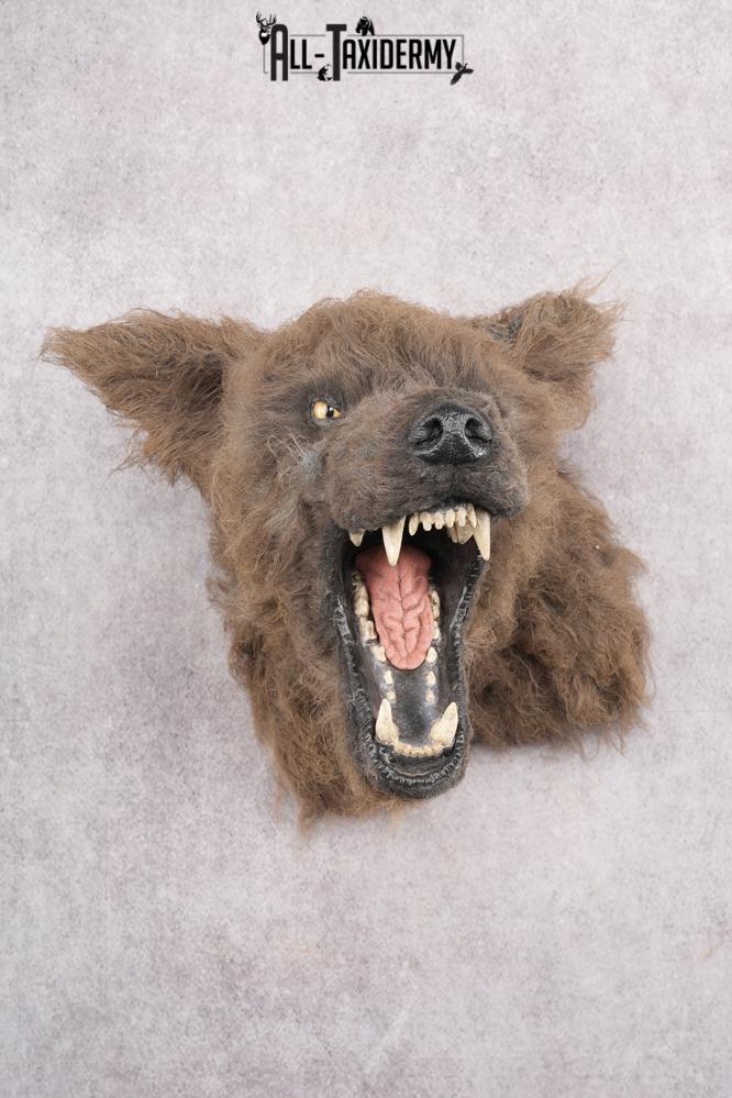 Werewolf Shoulder Mount