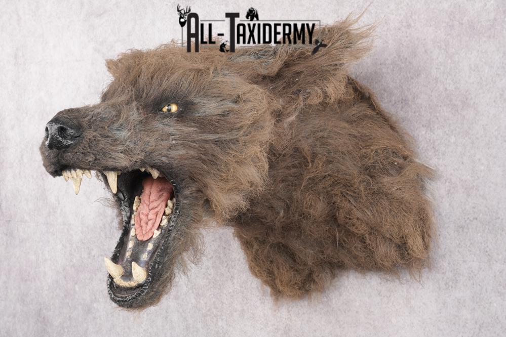 Werewolf Shoulder Mount SKU 2770 - Image 9