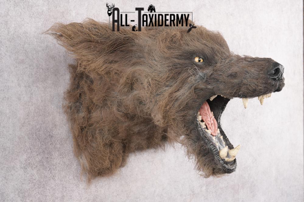 Werewolf Shoulder Mount SKU 2770 - Image 8