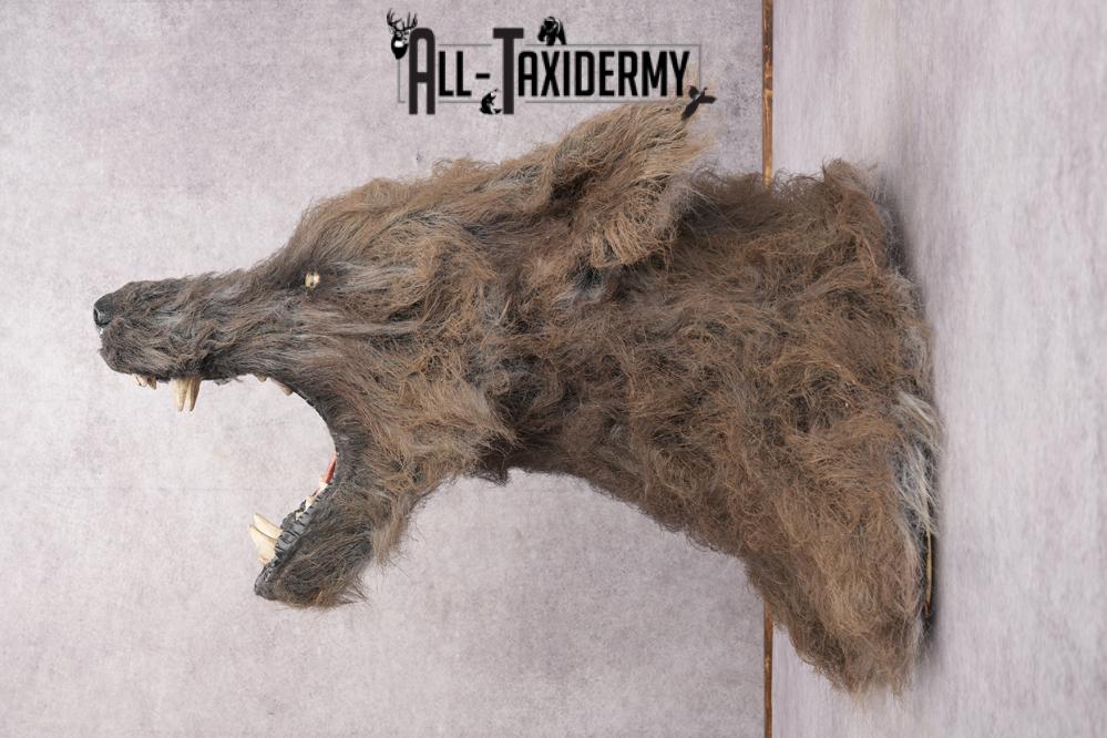 Werewolf Shoulder Mount SKU 2770 - Image 3