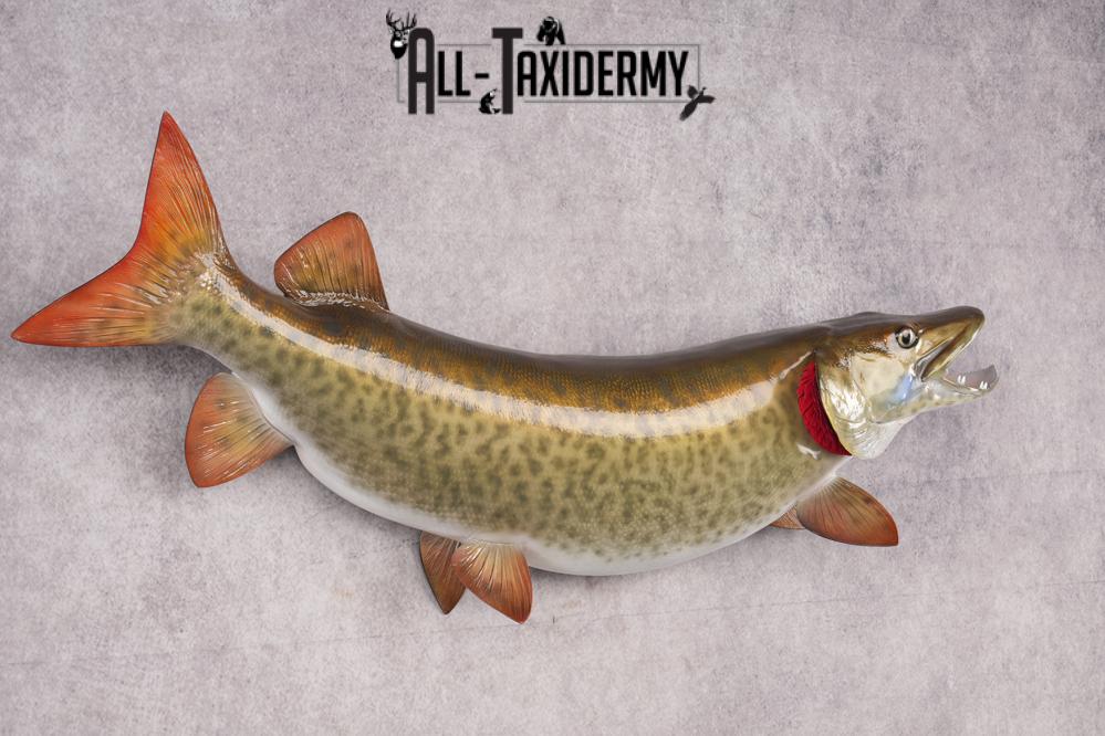 Reproduction Muskie Fish SKU 2813 - Image 4