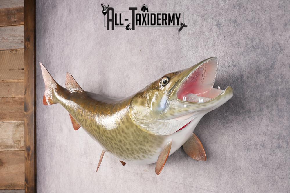 Reproduction Muskie Fish SKU 2813 - Image 3