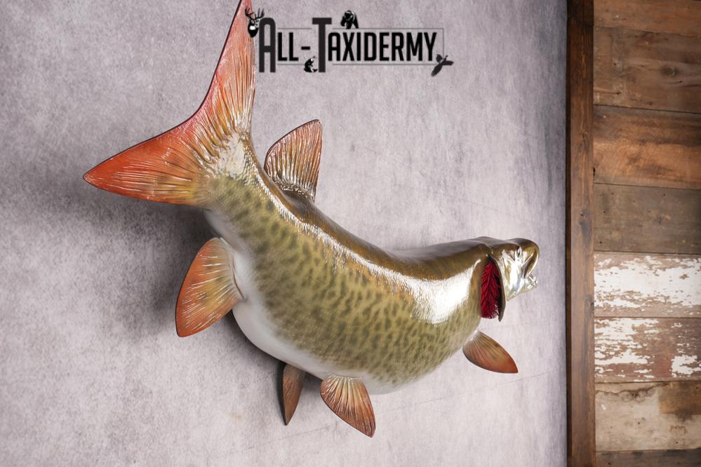 Reproduction Muskie Fish SKU 2813 - Image 2