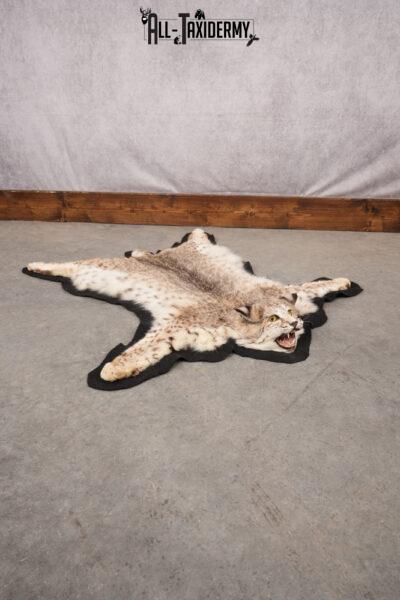 Bobcat Taxidermy Rug SKU 2793