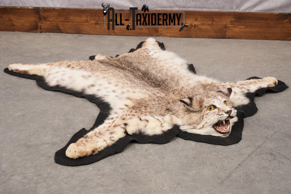 Sand Cat Skin Rug Bobcat Taxidermy Rug SKU 2793 - All Taxidermy