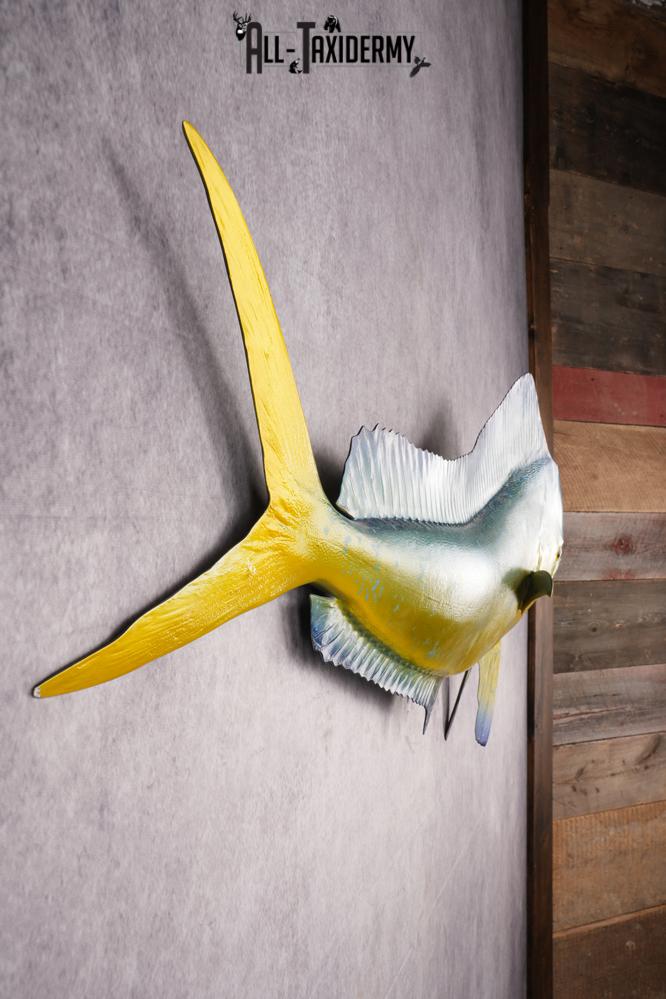 Reproduction Mahi Mahi Taxidermy Fish SKU 2876 - Image 4