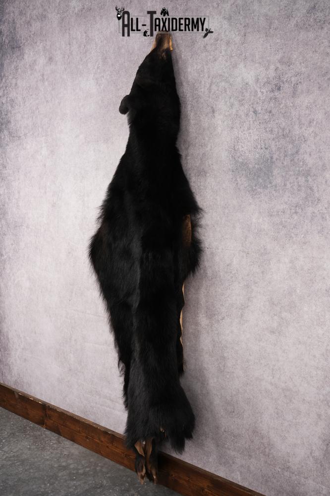 Black Bear Hide SKU 2829 - Image 8