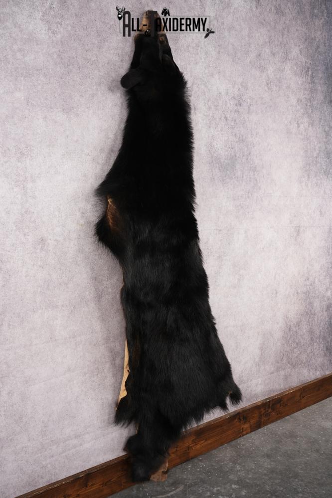 Black Bear Hide SKU 2829 - Image 7