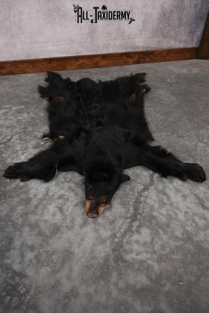 Black Bear Hide SKU 2829 - Image 5