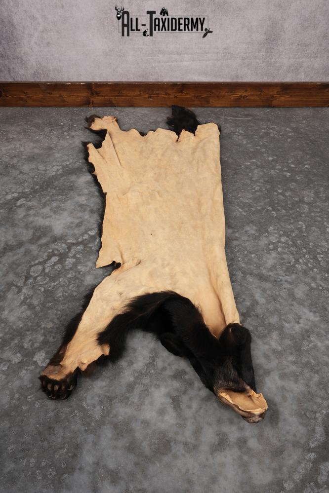 Black Bear Hide SKU 2829 - Image 2