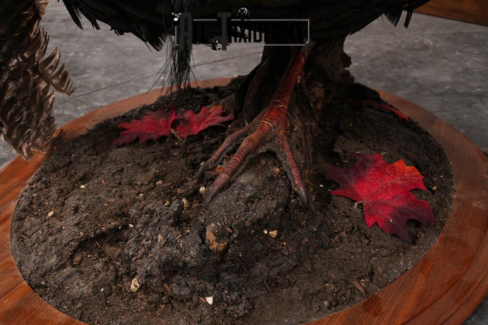 Merriam Turkey Mount SKU 2891 - Image 2