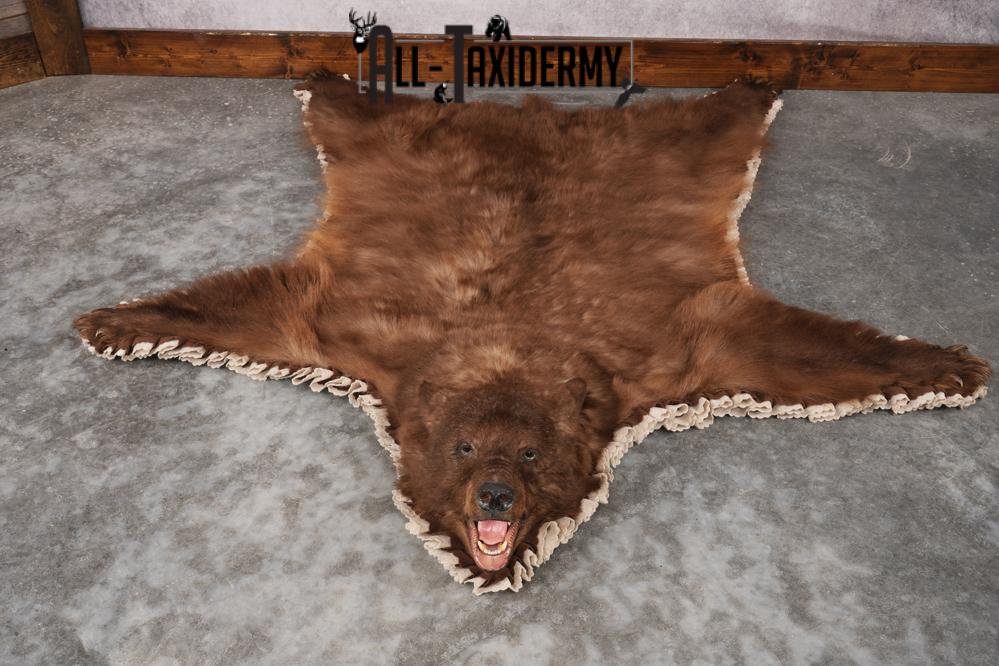 Cinnamon Black Bear Rug SKU 2822 - Image 8