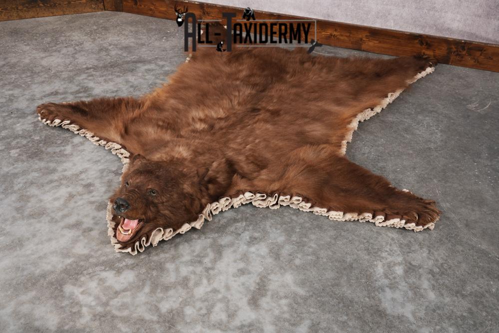 Cinnamon Black Bear Rug SKU 2822 - Image 7