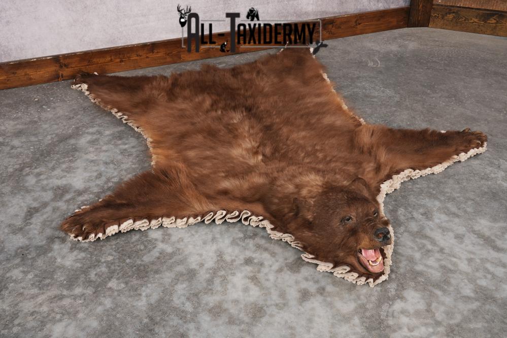Cinnamon Black Bear Rug SKU 2822 - Image 6