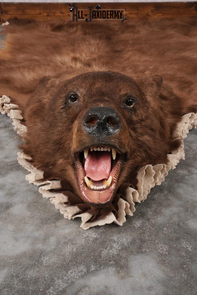 Cinnamon Black Bear Rug SKU 2822 - Image 5