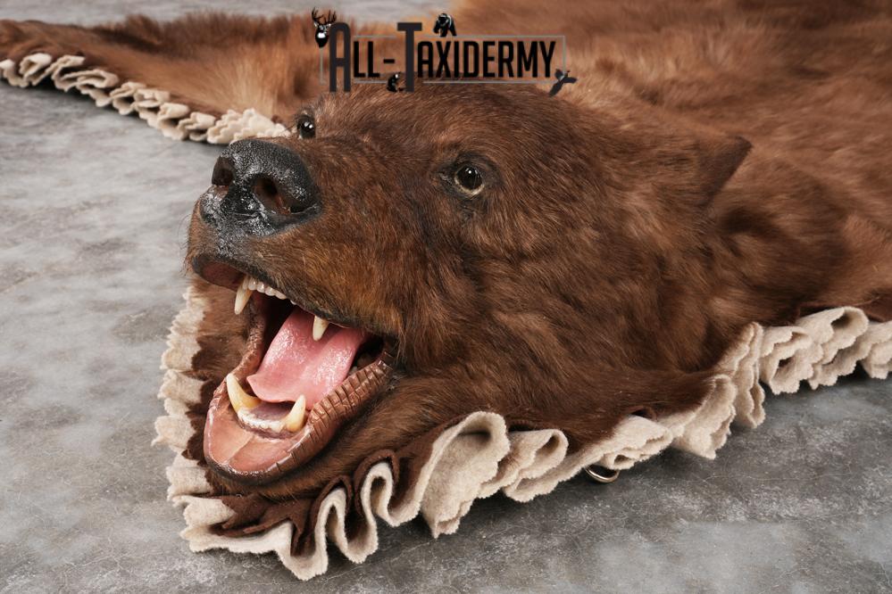 Cinnamon Black Bear Rug SKU 2822 - Image 4