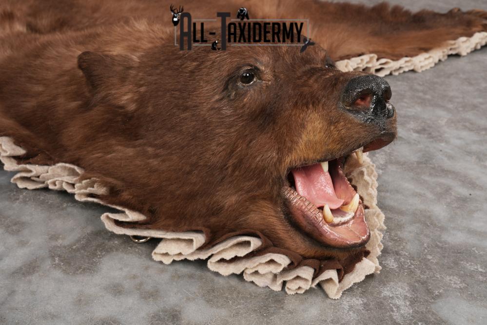 Cinnamon Black Bear Rug SKU 2822 - Image 3